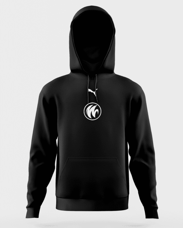 WYLDE x PUMA Hoodie - Image 2